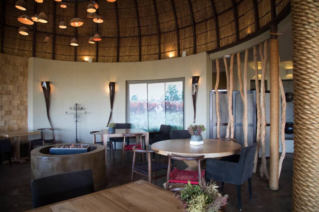 The dining area at Gondwana. An African safari at the Gondwana Game Reserve should be at the top of your bucket list! From luxuriously appointed rooms to stunning wildlife, it's an experience everyone should have when visiting South Africa. And for more travel tips and wanderlust inspiration, follow The Scenic Suitcase on Pinterest!