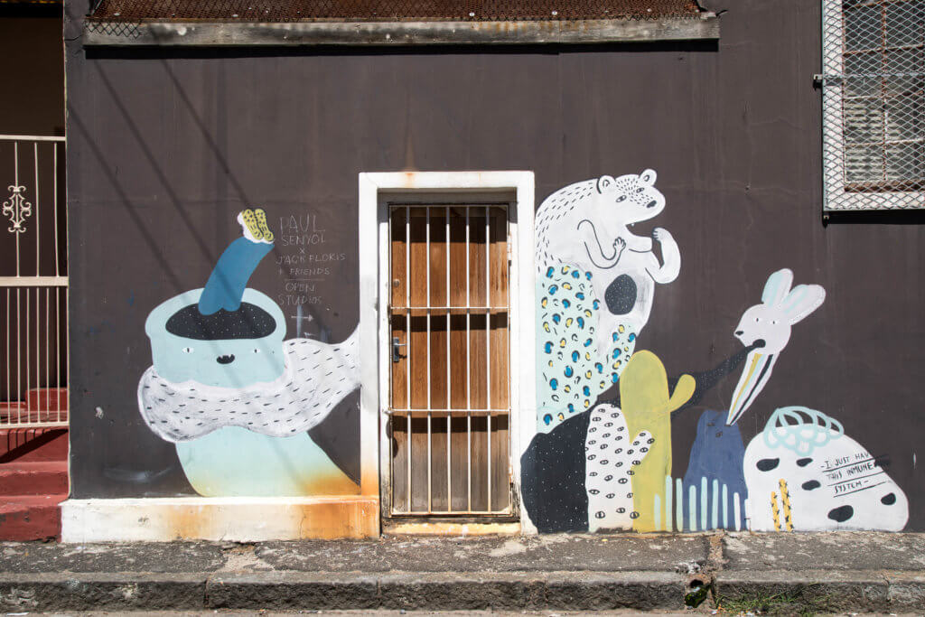 Cartoon graffiti. Discover the unique street art of Woodstock in South Africa. Find out the history behind this eclectic district and why it's a must on any visit to Cape Town! And for more travel tips and wanderlust inspiration follow The Scenic Suitcase on Pinterest!