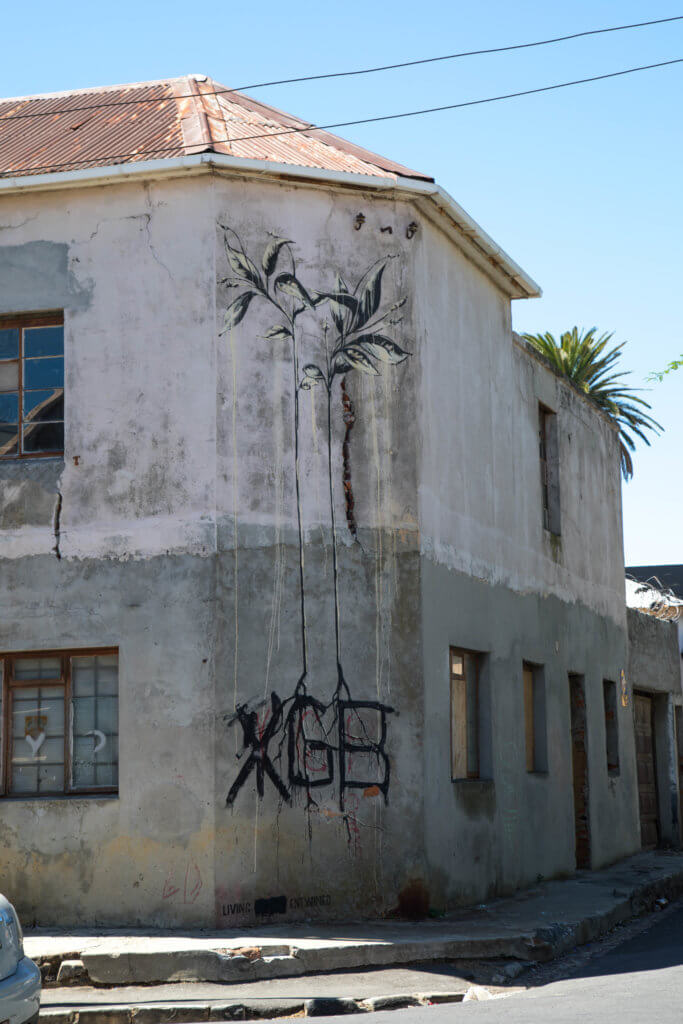 A plant graffiti. Discover the unique street art of Woodstock in South Africa. Find out the history behind this eclectic district and why it's a must on any visit to Cape Town! And for more travel tips and wanderlust inspiration follow The Scenic Suitcase on Pinterest!