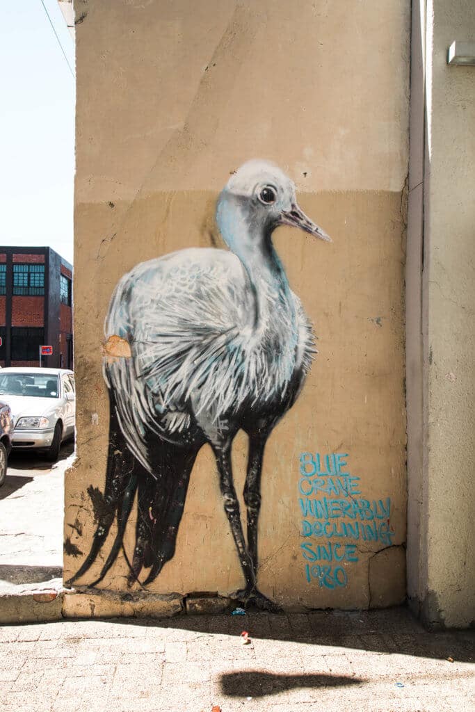 A blue crane graffiti. Discover the unique street art of Woodstock in South Africa. Find out the history behind this eclectic district and why it's a must on any visit to Cape Town! And for more travel tips and wanderlust inspiration follow The Scenic Suitcase on Pinterest!