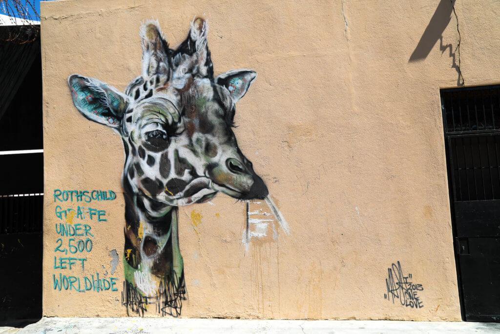 GIraffe graffiti. Discover the unique street art of Woodstock in South Africa. Find out the history behind this eclectic district and why it's a must on any visit to Cape Town! And for more travel tips and wanderlust inspiration follow The Scenic Suitcase on Pinterest!