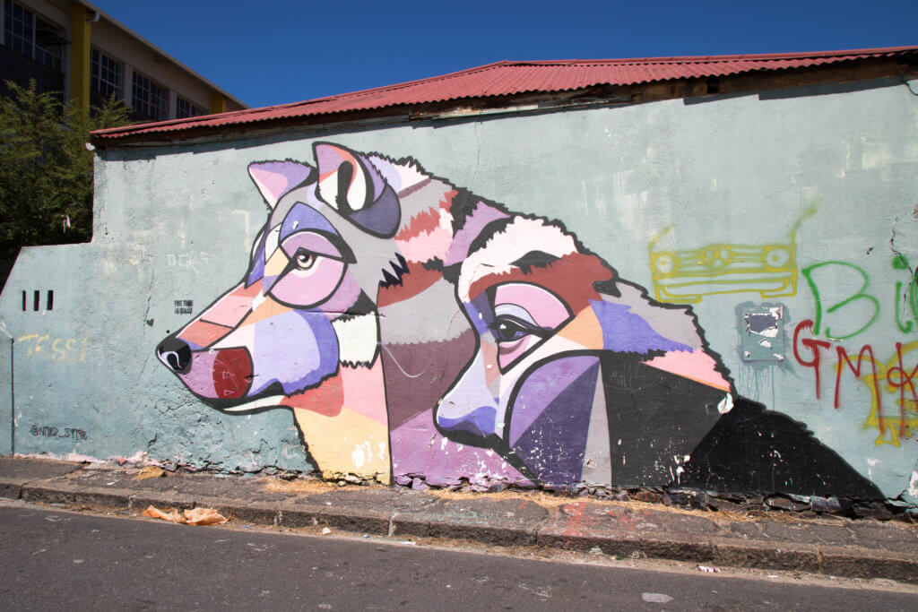 Colorful street art of a wolf and man. There are a million reasons to visit South Africa. The country is as diverse as it is beautiful and offers countless activities and bucket list adventures. Find out what you can't miss! And for more travel tips and wanderlust inspiration follow The Scenic Suitcase on Pinterest!