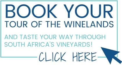 Book your own South African wine tasting experience now!