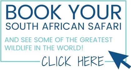 Booking for the Gondwana Game Reserve.