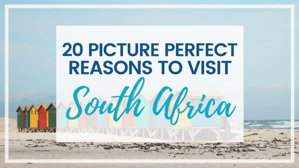 There are a million reasons to visit South Africa. The country is as diverse as it is beautiful and offers countless activities and bucket list adventures. Find out what you can't miss! And for more travel tips and wanderlust inspiration follow The Scenic Suitcase on Pinterest!