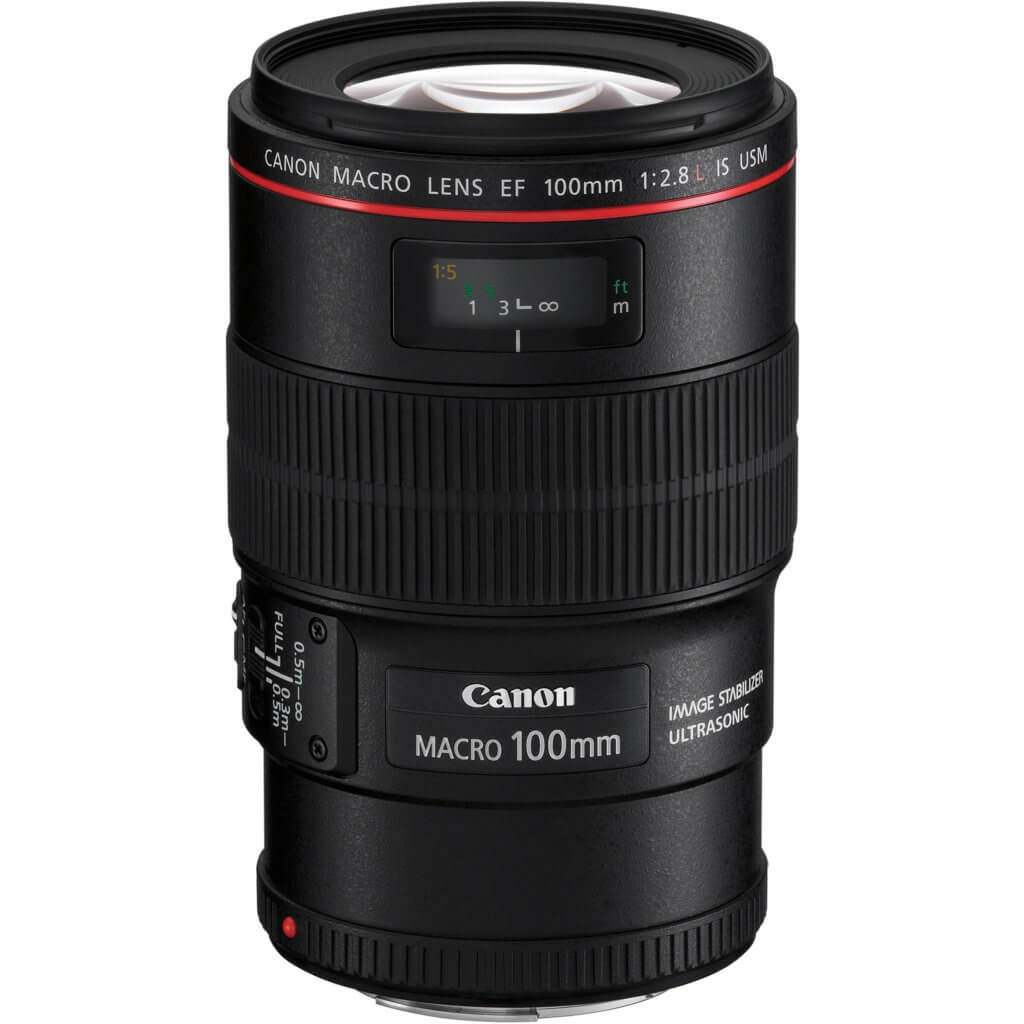 100mm Canon macro lens. Find all the essential travel photography gear for any shutterbug with a serious case of wanderlust in this travel photography gift guide. Everything you could possibly need to take your photos to the next level! And for more travel tips follow The Scenic Suitcase on Pinterest!