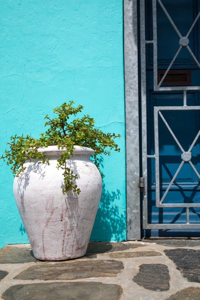 A blue wall with a blue door next to a white pot with a green plant. Visiting Bo Kaap in Cape Town feels like stepping into a cartoon. But there's more to the neighborhood than prismatic facades. Discover the colorful history of one of South Africa's most intriguing communities. Plus, get expert tips on what you need to know before you go! And for more travel tips, follow The Scenic Suitcase on Pinterest!