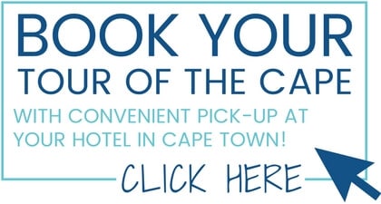 Book your tour of The Cape for all the best around Cape Town, South Africa!