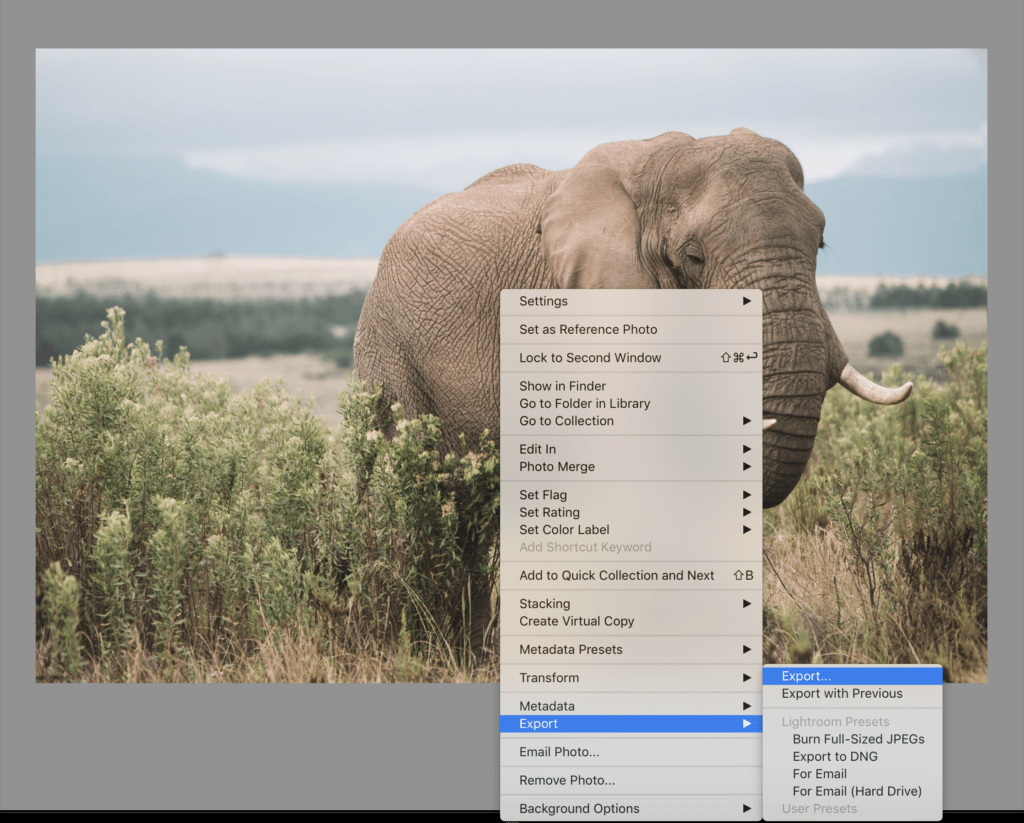 Screen shot of exporting a photo from Lightroom. Learn how to create stunning images just like the pros! This beginner's guide to editing photos in Lightroom will show you easy tools to step up your photography game. And for more photography tips and travel inspiration, follow The Scenic Suitcase on Pinterest!