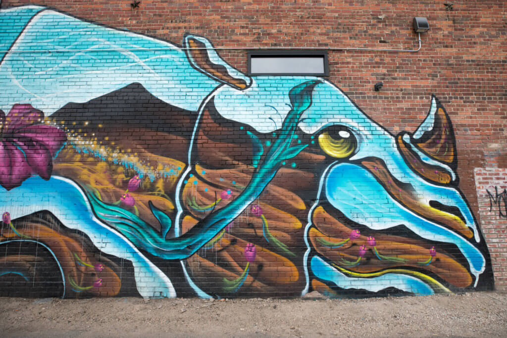 WHERE TO FIND THE BEST STREET ART IN DENVER