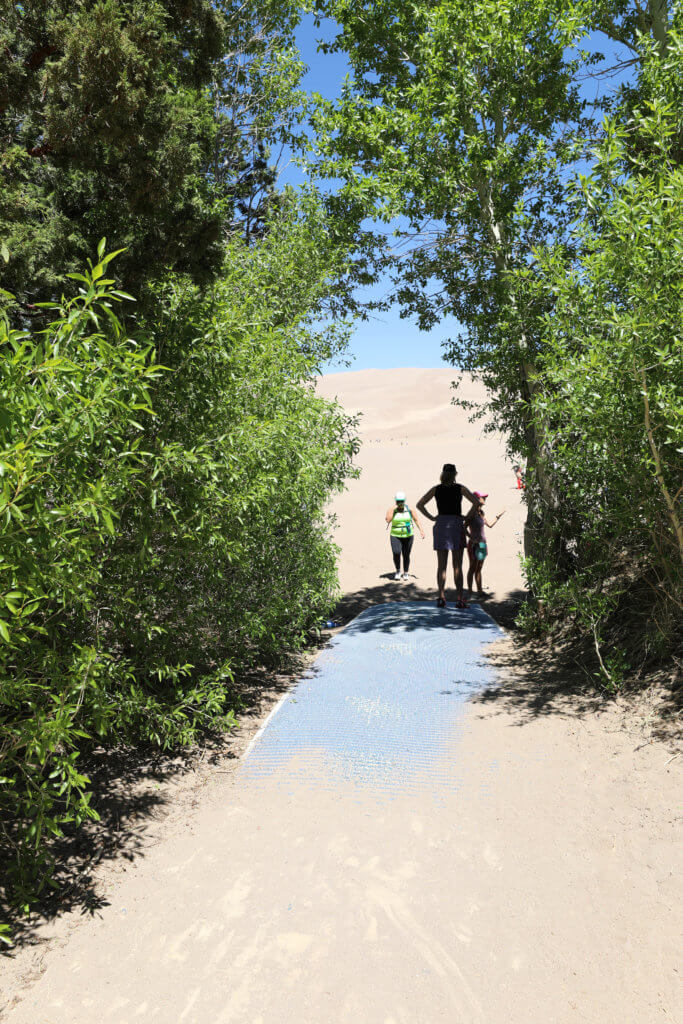 People standing in a tree tunnel on the edge of sand dunes. Get the inside scoop about visiting the Great Sand Dunes from a Colorado local. From where to find them to tips when you get there, this guide has it all! And for more travel tips and wanderlust inspiration, follow The Scenic Suitcase on Pinterest!