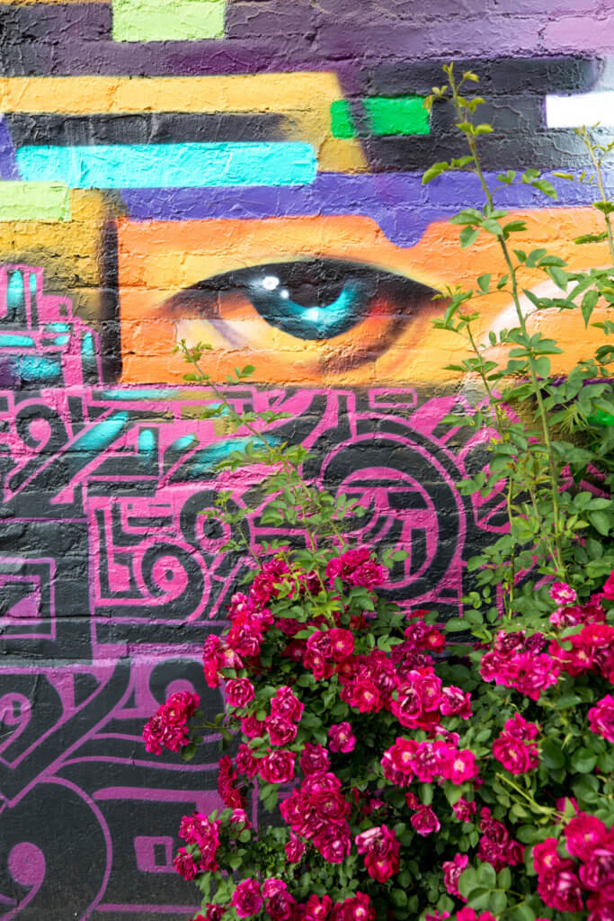 Graffiti art of a colorful eye near a pink rose bush. Discover where to find the best street art in Denver! From memorable murals to colorful characters, here's what you need to know. And for more travel tips and wanderlust inspiration, follow The Scenic Suitcase on Pinterest!