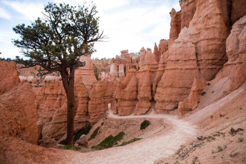 A trail through the Queen's Garden in Bryce Canyon. Discover some of the most beautiful places in the American Southwest. Awe-inspiring destinations and what you shouldn't miss on your next road trip! And for more travel tips and wanderlust inspiration, follow The Scenic Suitcase on Pinterest!