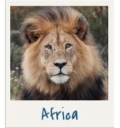 African continent. Discover travel tips and wanderlust inspiration for destinations all over the globe! Search by continent, country, or state to find what you're looking for with The Scenic Suitcase!