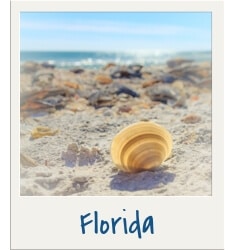 Florida. Discover travel tips and wanderlust inspiration for destinations all over the globe! Search by continent, country, or state to find what you're looking for with The Scenic Suitcase!