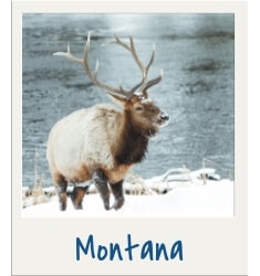 Montana. Discover travel tips and wanderlust inspiration for destinations all over the globe! Search by continent, country, or state to find what you're looking for with The Scenic Suitcase!