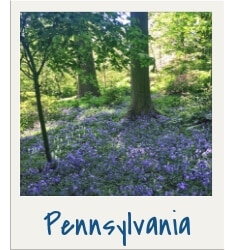 Pennsylvania. Discover travel tips and wanderlust inspiration for destinations all over the globe! Search by continent, country, or state to find what you're looking for with The Scenic Suitcase!