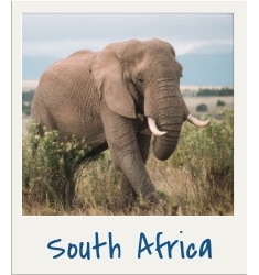 South Africa. Discover travel tips and wanderlust inspiration for destinations all over the globe! Search by continent, country, or state to find what you're looking for with The Scenic Suitcase!