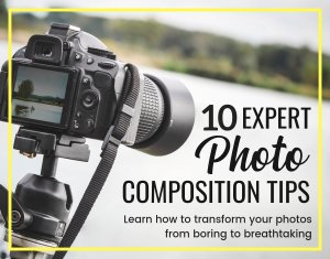 Learn ten expert photo composition tips to transform your pictures from boring to breathtaking!