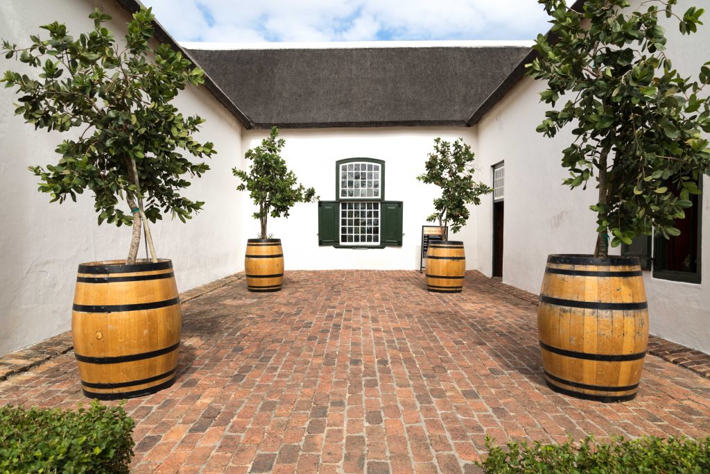 Wine barrels holding olive trees with a white building. See the most picture perfect moments of 2018. From London to Cape Town to Las Vegas and more, see what you can't miss in these incredible destinations! And for more travel tips and wanderlust inspiration, follow The Scenic Suitcase on Pinterest!