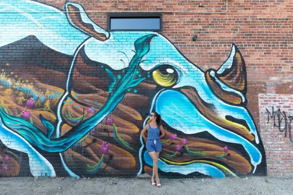 A girl in blue standing in front of a blue rino painted on a brick wall. See the most picture perfect moments of 2018. From London to Cape Town to Las Vegas and more, see what you can't miss in these incredible destinations! And for more travel tips and wanderlust inspiration, follow The Scenic Suitcase on Pinterest!