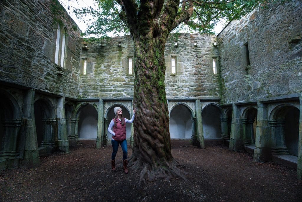 A girl standing next to a tree in Muckross Abbey, Ireland. One of the most picture perfect moments of 2019. #2019 #MuckrossAbbey #Ireland