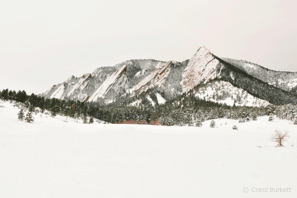Snowy flatirons captured by Carol Burkett.