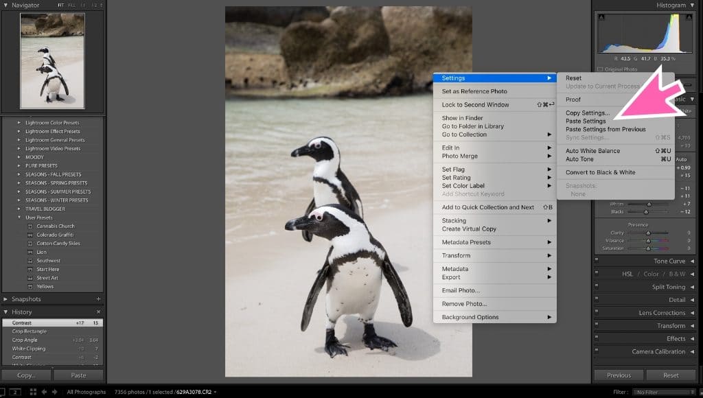 Screenshot showing how to copy edit settings in Lightroom. Learn 7 lightroom tips and tricks to make your workflow infinitely easier. Once you know these shortcuts, you'll wonder how you ever lived without them! And for more travel and photography tips, follow The Scenic Suitcase on Pinterest!