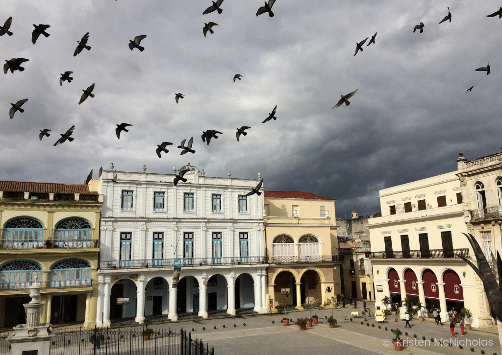 Pigeons flying through a square in Havana by Kristen McNicholas. Learn incredible tips from expert photographers and a National Geographic editor that will improve your own photos and turn them into stunning masterpieces! And for more tips, follow The Scenic Suitcase on Pinterest!