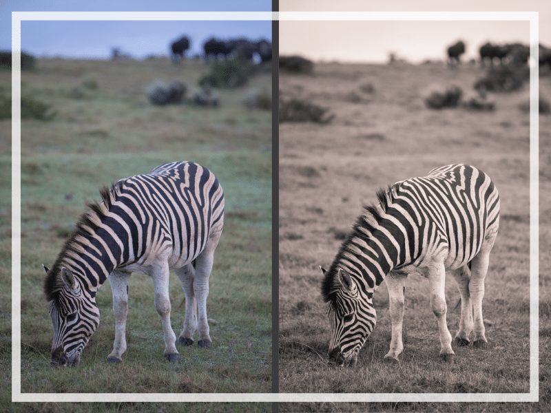 Learn everything you need to know about how to create and use Lightroom presets to edit your photos in half the time! And for more travel photography tips, follow The Scenic Suitcase on Pinterest!