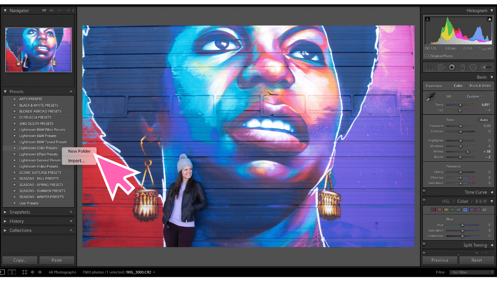 A screenshot of how to import a new preset in Lightroom. Learn everything you need to know about how to create and use Lightroom presets to edit your photos in half the time! And for more travel photography tips, follow The Scenic Suitcase on Pinterest!