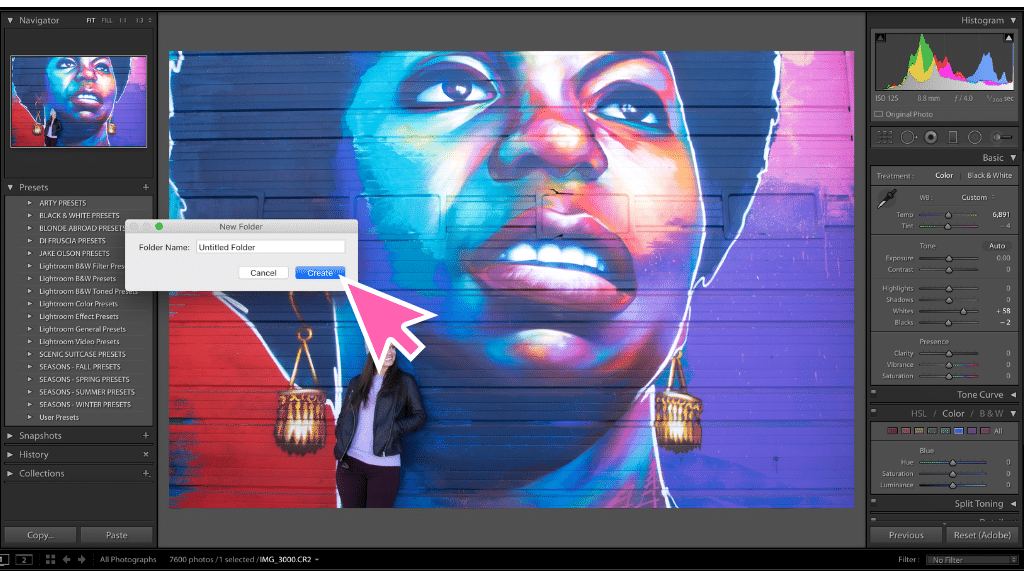 A screenshot of how to import a new preset in Lightroom. Learn everything you need to know about how to create and use Lightroom presets to edit your photos in half the time! And for more travel photography tips, follow The Scenic Suitcase on Pinterest!