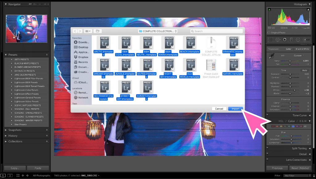 A screenshot of how to import a new preset in Lightroom. Learn everything you need to know about how to create and use Lightroom presets to edit your photos in half the time! And for more travel photography tips, follow The Scenic Suitcase on Pinterest!