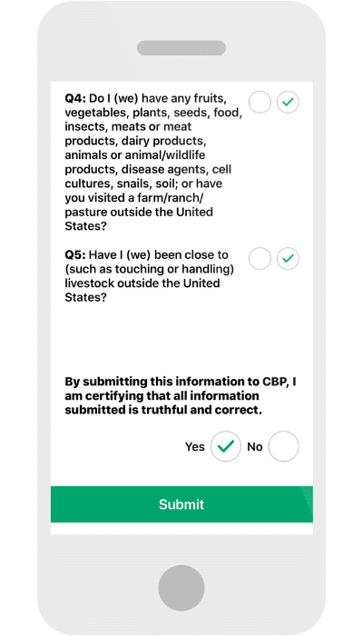 Discover why the Mobile Passport app is a must for international travelers returning to the United States. Including easy step by step instructions! And for more travel tips follow The Scenic Suitcase on Pinterest! #mobilepassport #travelapps