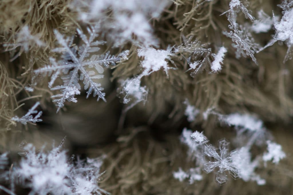 Macro photography of snowflakes on a green rug. Discover 10 photography ideas to boost your creativity! Get out of the slump and get shooting! And for more tips, follow The Scenic Suitcase on Pinterest! #photographytips #photographyinspiration