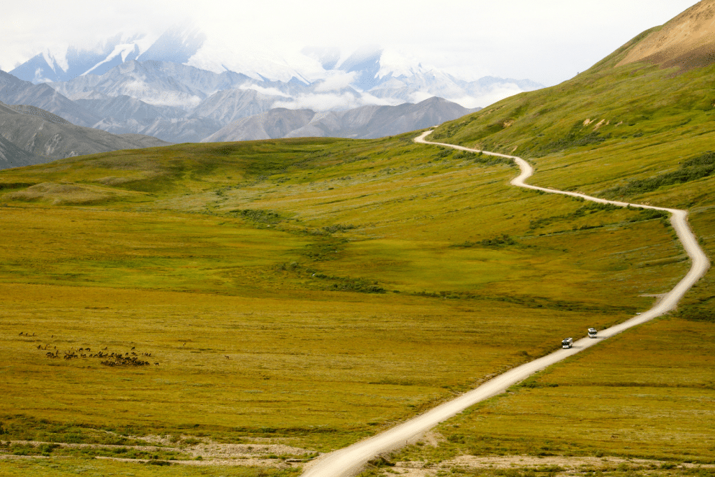 A mountain road in Denali National Park.