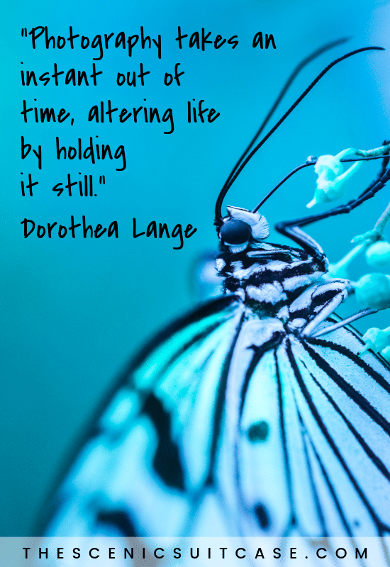 “Photography takes an instant out of time, altering life by holding it still.”  – Dorothea Lange
