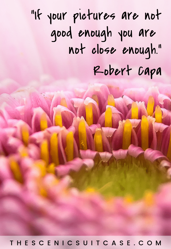 If your pictures are not good enough you are not close enough.”  – Robert Capa