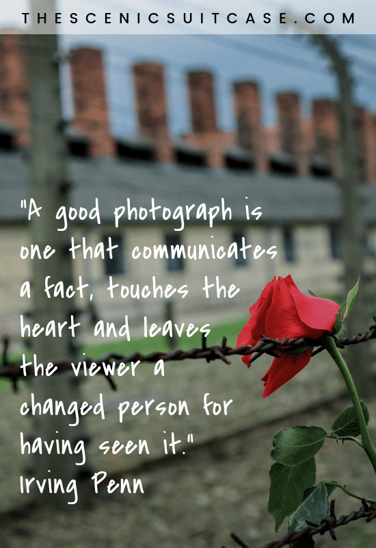 “A good photograph is one that communicates a fact, touches the heart and leaves the viewer a changed person for having seen it.”  – Irving Penn 35 inspirational photography quotes that are sure to have you reaching for your camera!
