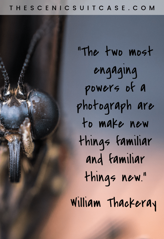 “The two most engaging powers of a photograph are to make new things familiar and familiar things new.”  – William Thackeray
