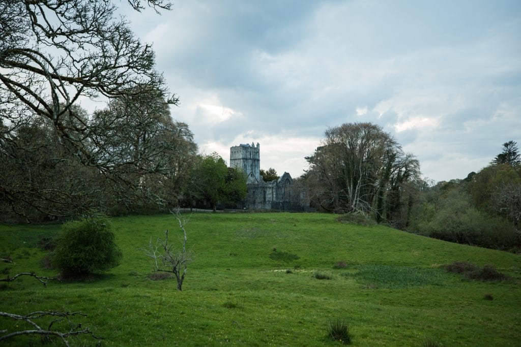 An abandon abbey across a green field. #muckrossabbey
