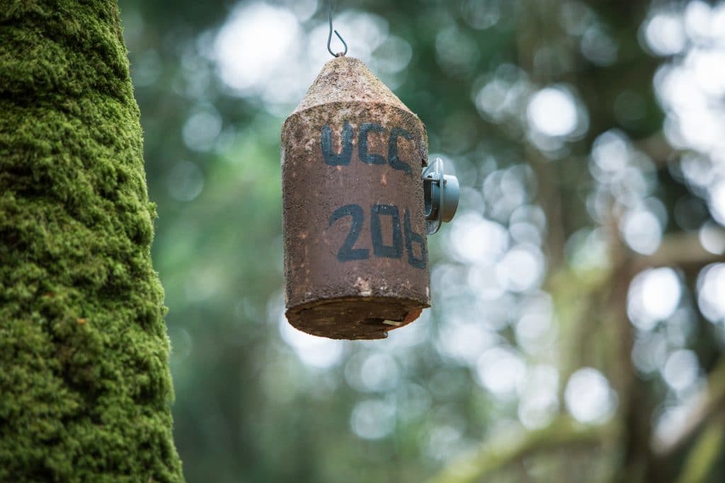 A tin birdfeeder against a moss covered tree. #MuckrossLakeLoop #Killarney