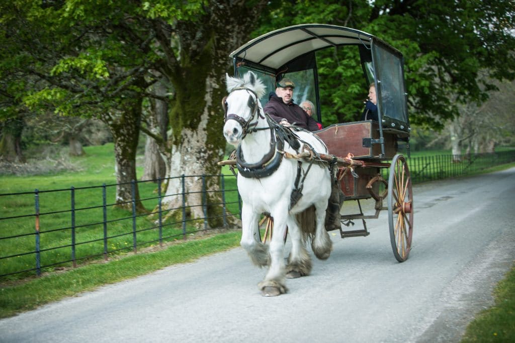 A horse drawn carriage down a country road.