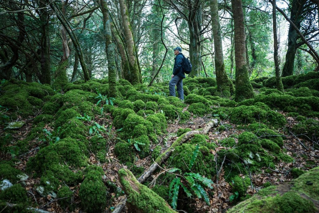 A man standing in the woods surrounded by mossy rocks. #MuckrossLakeLoop #Killarney