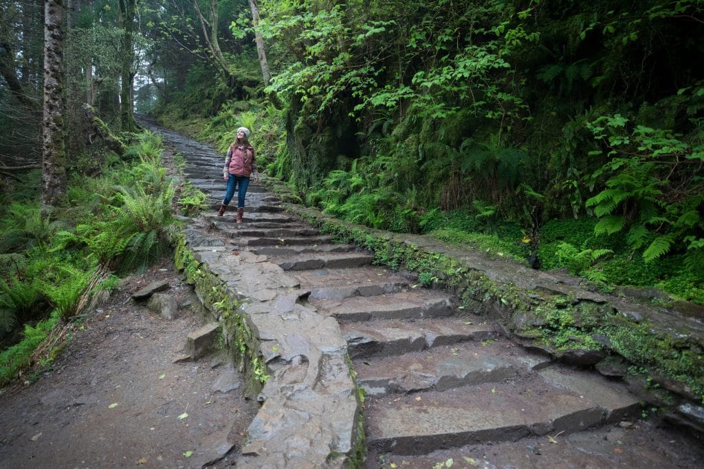 A stone staircase in the middle of the woods.
