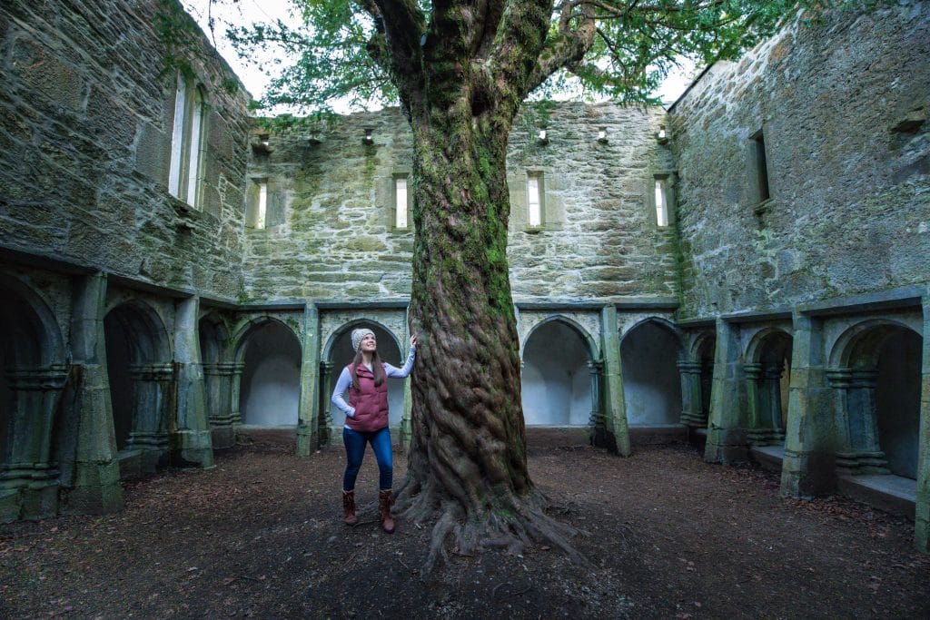 A girl standing near a tree in the courtyard of an abandon abbey. One of the most amazing things to see in Killarney. #muckrossabbey