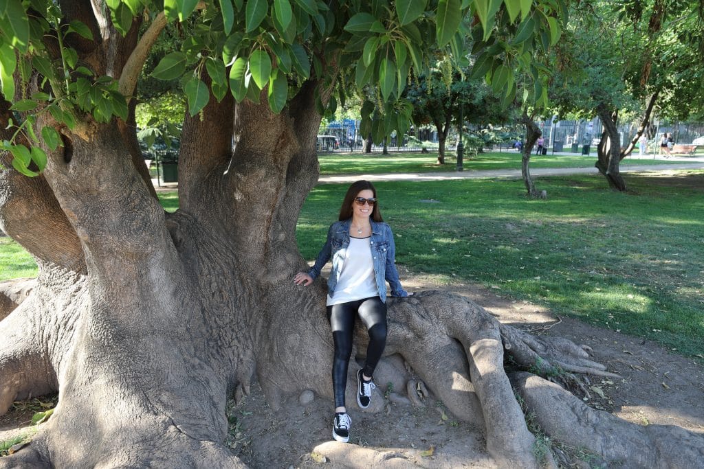 A girl sitting on the roots of a large tree in Chile. #Chile #Santiago