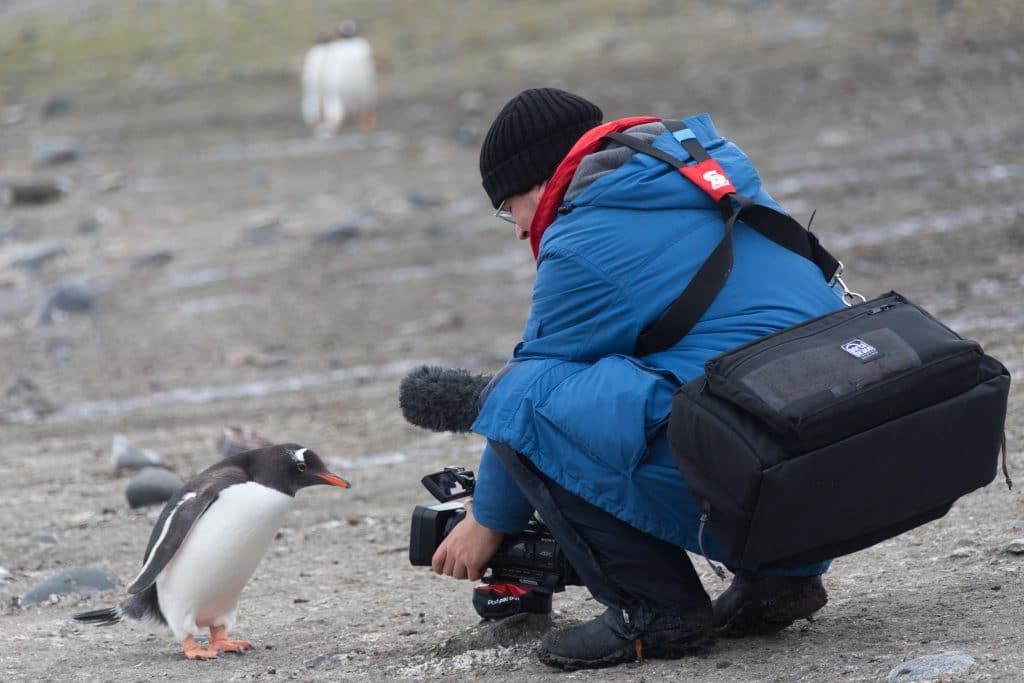 A penguin investigating a man with a camera in Antarctica. #antarctica