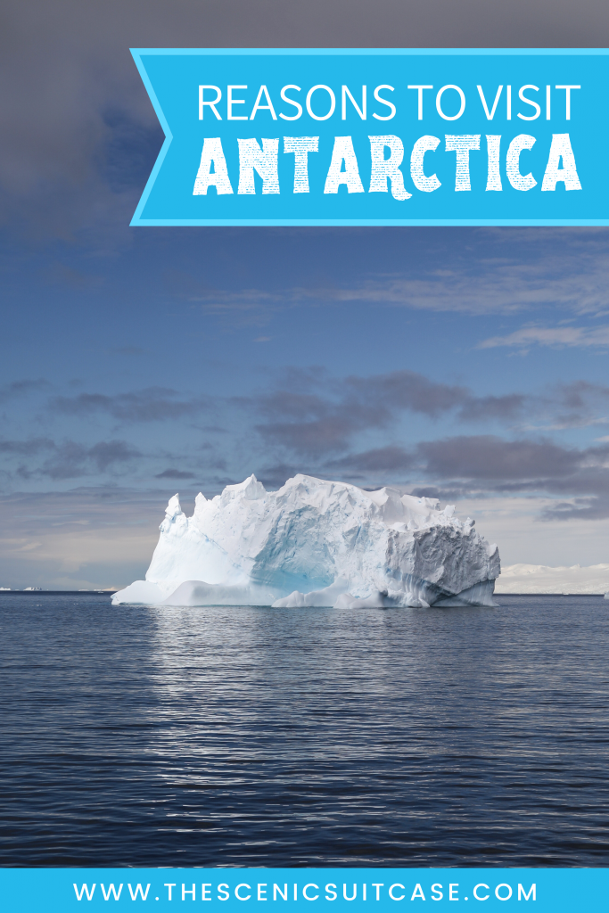 Discover the many reasons to visit Antarctica, and what to expect when you get there. From impressive icebergs to playful penguins and more! #antarctica