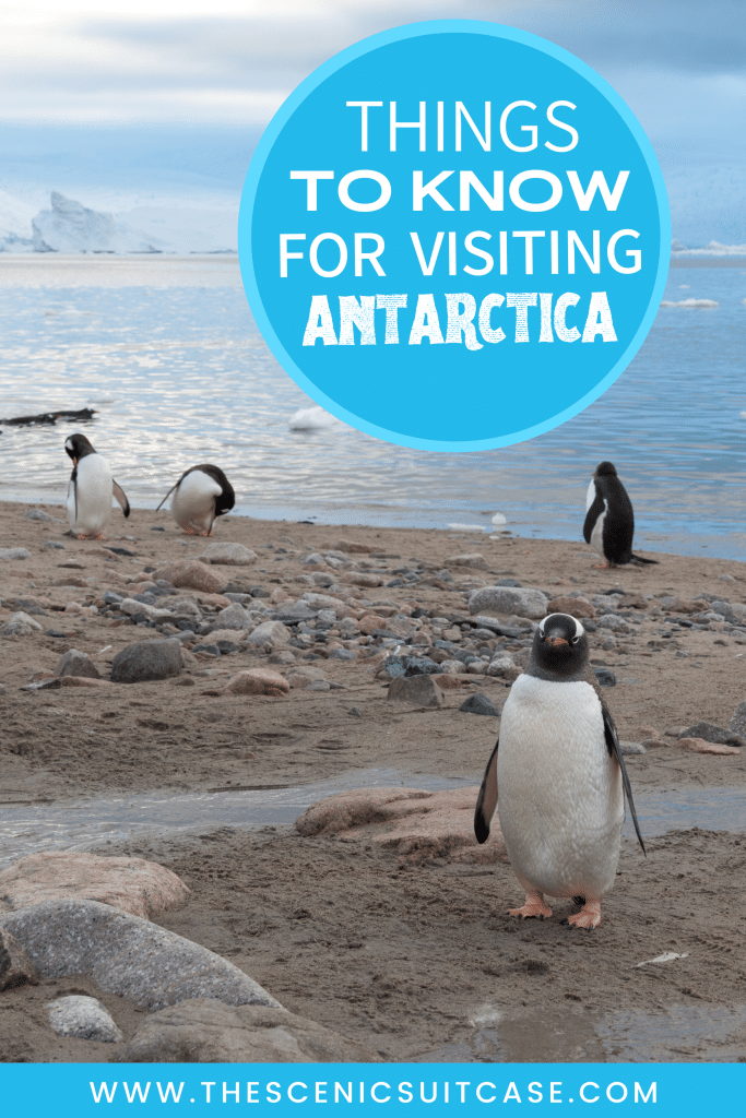 In order to make the most of your journey, there are a few things to know before visiting Antarctica. Discover tips to ensure you have an amazing adventure! #antarctica #antarcticatips
